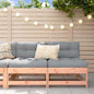 JUNG Vida Mittelsofas mit Kissen 2 Stk. Massivholz Douglasie