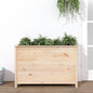 JUNG Vida Hochbeet 119,5x40x78 cm Massivholz Kiefer