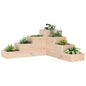 JUNG Vida Pflanzentreppe 4 Stufen 80,5x79x36 cm Massivholz Kiefer