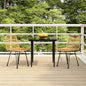 JUNG Vida 3-tlg. Garten-Essgruppe Poly Rattan