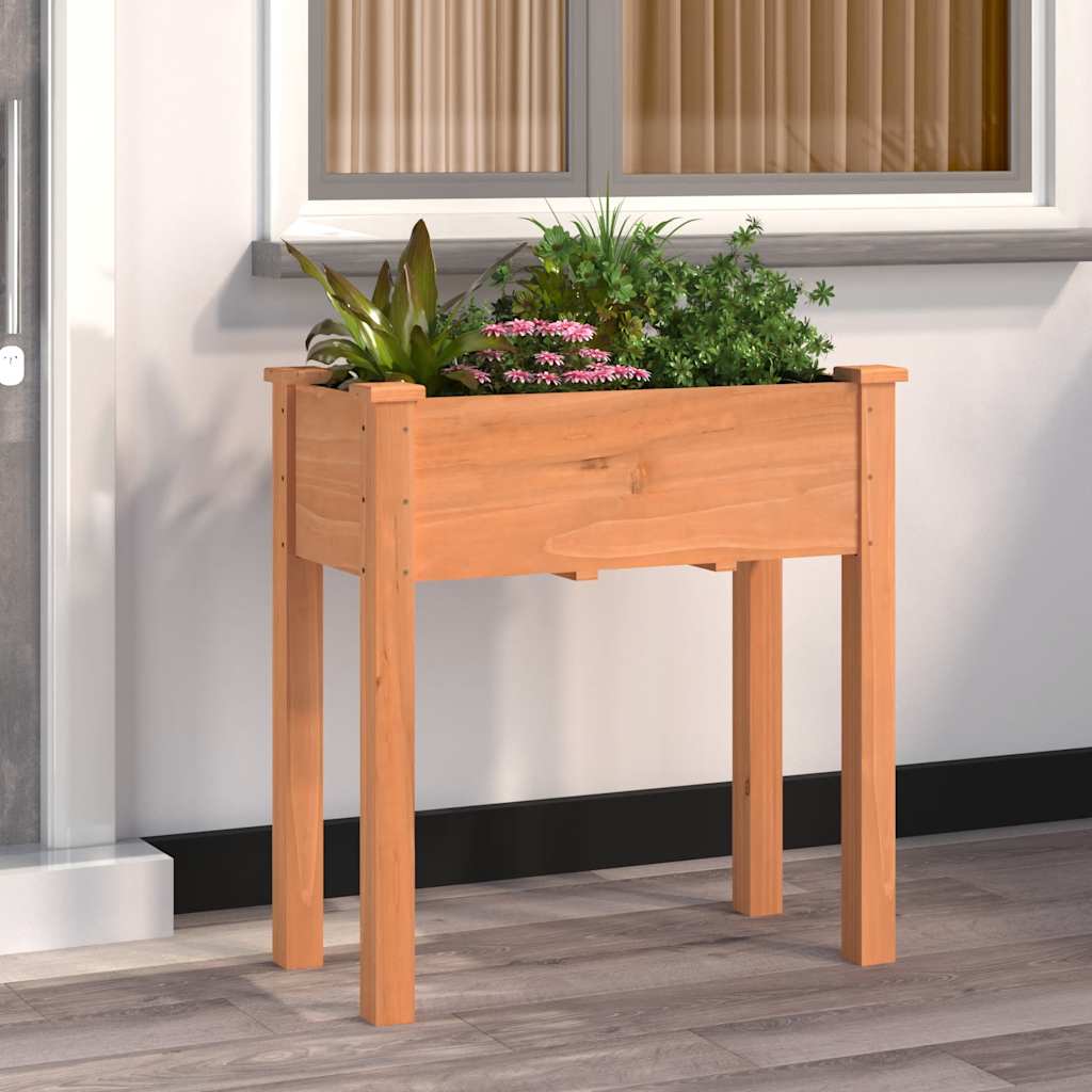 JUNG Vida Pflanzkübel mit Einsatz Braun 71x37x76 cm Massivholz Tanne