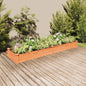 JUNG Vida Hochbeet mit Einsatz Braun 240x60x25 cm Massivholz Tanne