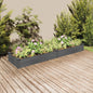 JUNG Vida Hochbeet mit Einsatz Grau 240x60x25 cm Massivholz Tanne