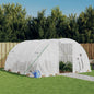 JUNG Vida Gewächshaus mit Stahlrahmen Weiß 16 m² 4x4x2 m