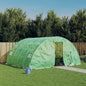 JUNG Vida Gewächshaus mit Stahlrahmen Grün 20 m² 5x4x2,3 m