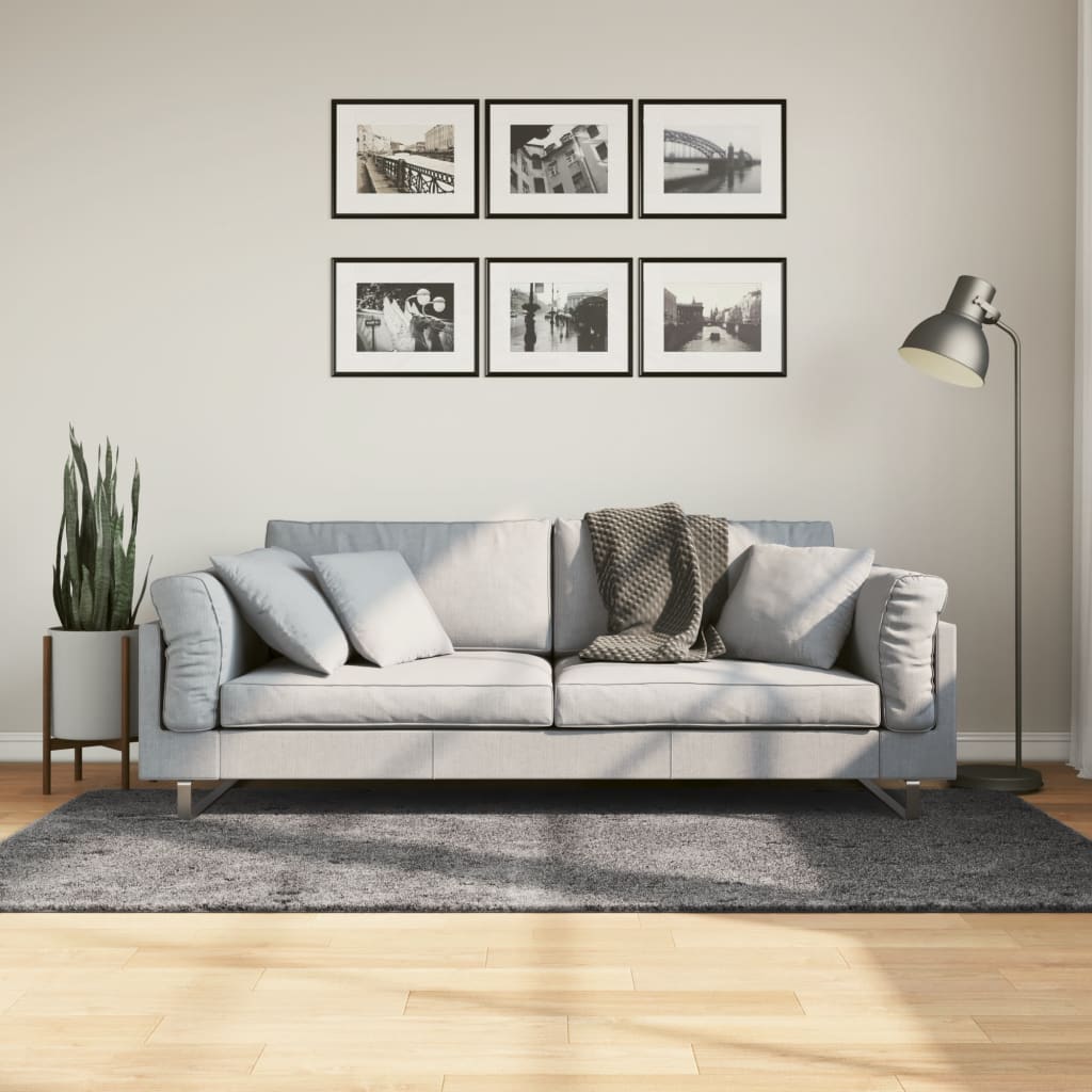 JUNG Vida Teppich HUARTE Kurzflor Weich und Waschbar Anthrazit 120x170 cm