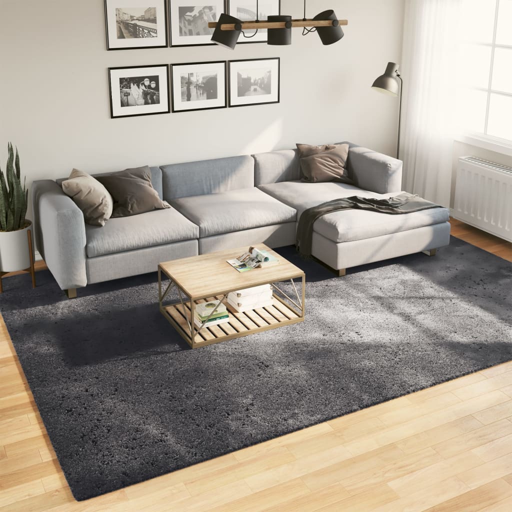 JUNG Vida Teppich HUARTE Kurzflor Weich und Waschbar Anthrazit 240x340 cm