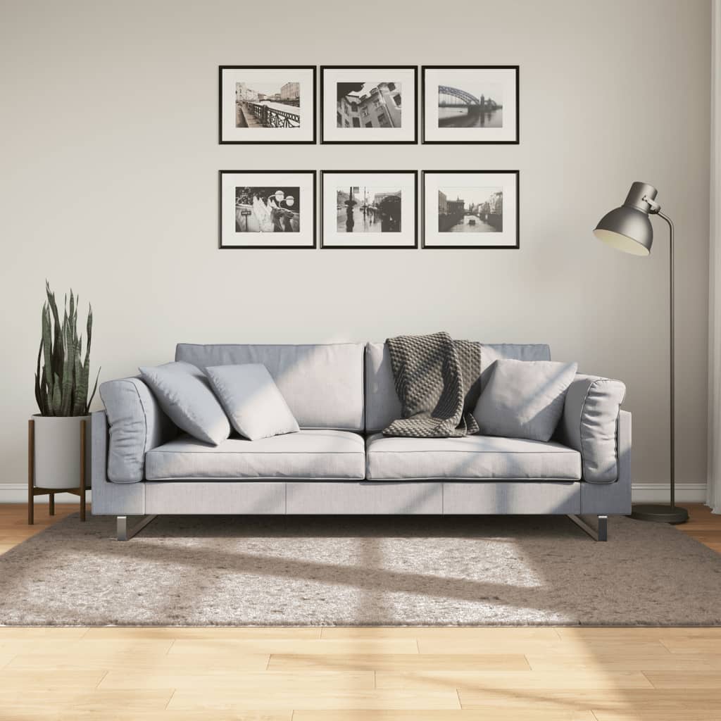 JUNG Vida Shaggy-Teppich PAMPLONA Hochflor Modern Beige 140x200 cm