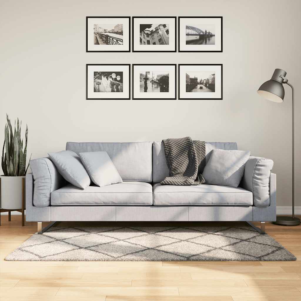 JUNG Vida Teppich Shaggy Hochflor Modern Beige und Anthrazit 80x150 cm