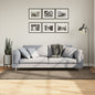 JUNG Vida Teppich ISTAN Hochflor Glänzend Grau 100x200 cm