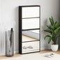 JUNG Vida Schuhschrank mit Spiegel 4 Fächer Schwarz 63x17x134 cm