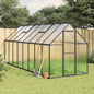 JUNG Vida Gewächshaus mit Fundamentrahmen Anthrazit 445x169x195 cm Alu