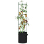 JUNG Vida Tomatenkäfig mit Pflanzsack 2 Stk. 154 cm Stahl und PP