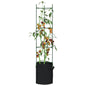 JUNG Vida Tomatenkäfige mit Pflanzsäcken 8 Stk. 154 cm Stahl und PP