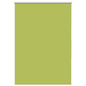 JUNG Vida Verdunkelungsrollo Grün 100x130 cm Stoffbreite 95,7cm Polyester