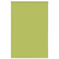 JUNG Vida Verdunkelungsrollo Grün 160x210cm Stoffbreite 156,6cm Polyester