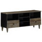JUNG Vida TV-Schrank 100x33x46 cm Massivholz Mango