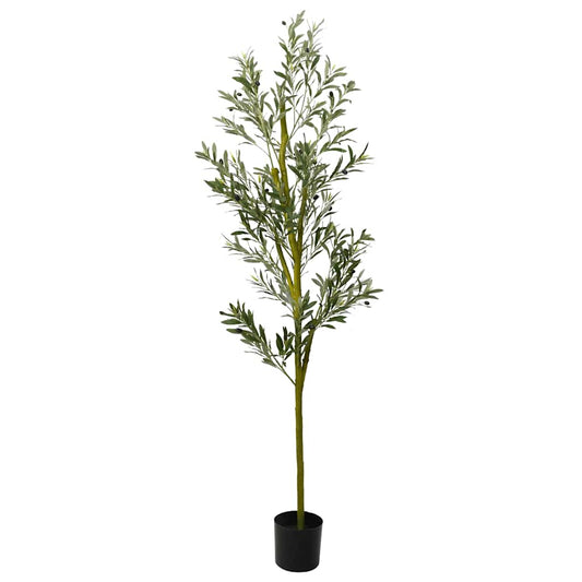 JUNG Vida Olivenbaum Künstlich 800 Blätter 200 cm Grün
