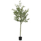 JUNG Vida Olivenbaum Künstlich 700 Blätter 180 cm Grün