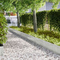 JUNG Vida Raseneinfassung 50 pcs Silber 100 x 0,05 x 20 cm Edelstahl