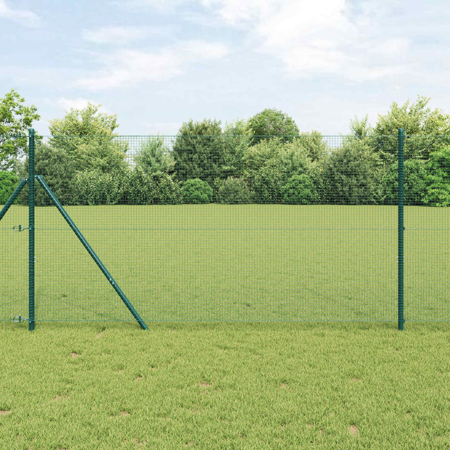 JUNG Vida Geschweißter Drahtzaun Grün 1,2 x 25 m