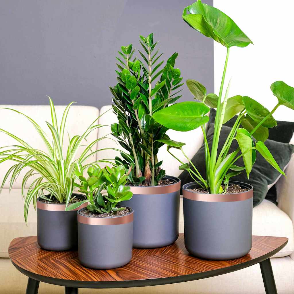 JUNG Vida Kupferband 6 pcs Kupfer 2000 x 3 cm Kupfer
