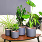 JUNG Vida Kupferband 6 pcs Kupfer 2000 x 3 cm Kupfer