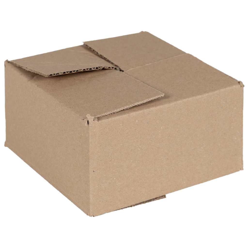 JUNG Vida Faltbox mit Speicher 50 pcs Natur 15 x 15 x 8 cm Karton