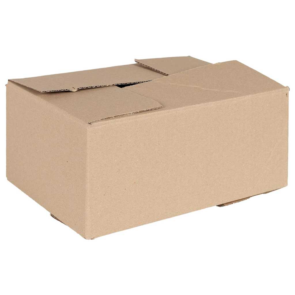 JUNG Vida Faltbox mit Speicher 50 pcs Natur 30 x 21,5 x 14 cm Karton