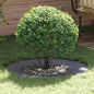JUNG Vida geeignet für flache Baumringe 5 pcs Anthrazit Ø50 / 80 cm Stahl