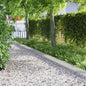 JUNG Vida Rasenkanten 30 pcs Silber 103 x 0,05 x 22 cm Edelstahl