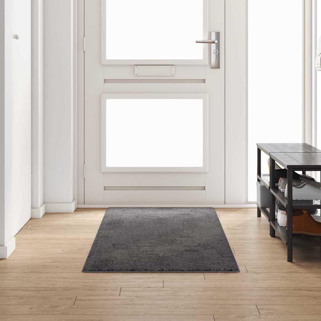 JUNG Vida Teppichläufer Grau 80 x 250 cm 100% Polypropylen Tuft