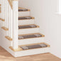 JUNG Vida Selbstklebende Treppenschoner 15 pcs Braun 65 x 21 x 4 cm