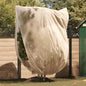 JUNG Vida Winterschutz fur Pflanzen 3 pcs Beige 2,4 x 2 m Vliesstoff