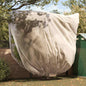 JUNG Vida Winterschutz fur Pflanzen 3 pcs Beige 3 x 3,93 m Vliesstoff