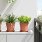 JUNG Vida Runder Blumentopf 6 pcs Ziegelrot Ø 17 x 14 cm Kunststoff