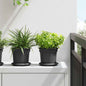 JUNG Vida Runder Blumentopf 6 pcs Schwarz Ø 15 x 12 cm Kunststoff