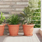 JUNG Vida Runder Blumentopf 6 pcs Ziegelrot Ø 26 x 21,5 cm Kunststoff