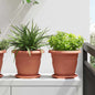 JUNG Vida Runde Blumenplatte 6 pcs Ziegelrot Ø 17,5 x 2 cm Kunststoff
