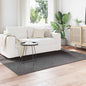 JUNG Vida Bereichsteppiche HUARTE Anthrazit 170 x 120 cm Polyester