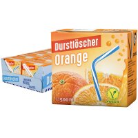 Durst Löscher Erfrischungsgetränk 500ml