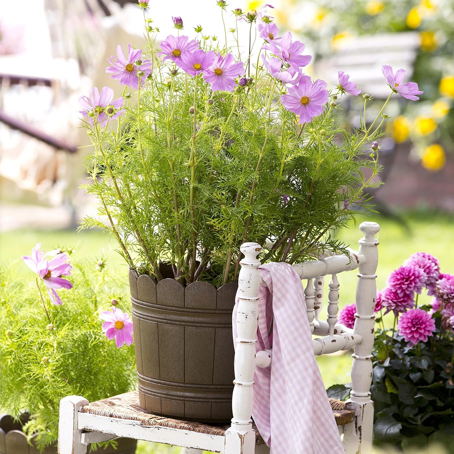 Emsa 515258 Country Blumenkübel Ø 24 cm braun Shabby Chic | Wetterfester Pflanzkübel für Balkon mit Holzoptik | Pflanztopf UV-beständig frostfest für direkte Bepflanzung & als Übertopf geeignet