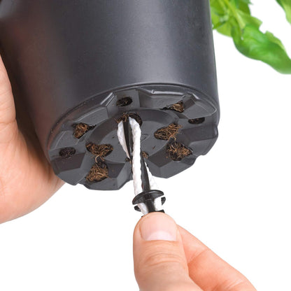 Emsa 517706 Fresh Herbs Kräutertopf selbstbewässernd Ø 13 cm altrosa | Pflanztopf für Küchenkräuter mit Wasserstandsanzeiger & Aqua Comfort System | UV-beständig & dekorativer Blumentopf für Fensterbank