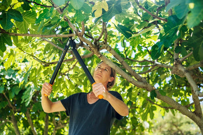 Fiskars PowerGear II L74 Bypass-Getriebeastschere für frisches Holz, Antihaftbeschichtet, Gehärteter Stahl, 55 cm, Leichtgewicht Gartenwerkzeug, Astschere, Baumschere, Schwarz/Orange, Ergonomisch, Minimale Kraftaufwand