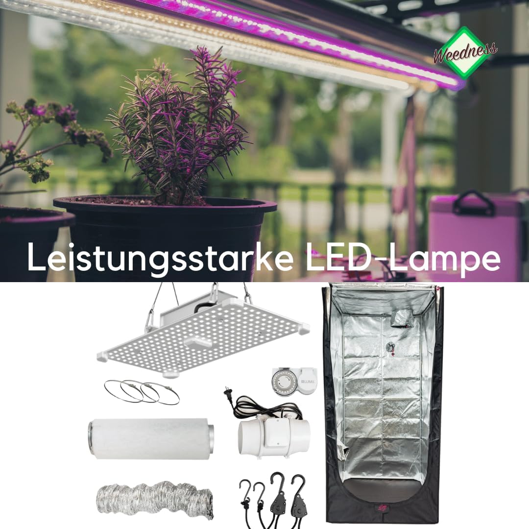 JUNG Weedness Growbox Komplettset 400W LED mit Mixed Inline Lüfter, Aktivkohlefilter 125mm, Zeitschaltuhr, 100x100x200 cm – Indoor Grow Zelt für Anbau und Zucht von Pflanzen