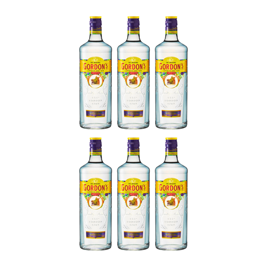 Gordon’s Dry Gin 0,7l 37,5% Vol. 6er Alkohol Set – Klassischer London Dry Gin – 3x 0,7 Liter Flaschen – Botanischer Wacholder Gin – Feinaromatischer Gin mit Koriander, Zimt & Zitrusnoten Alcohol