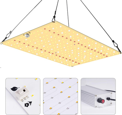 JUNG NiceGrow Starter Growset 80x80x160 cm mit dimmbarer LED, Samsung LM281B+, Vollspektrum, IR & UV, für Einsteiger, Wuchs- und Blüte-Licht, 120W, Passiv gekühlt, Komplettset für Pflanzenanbau