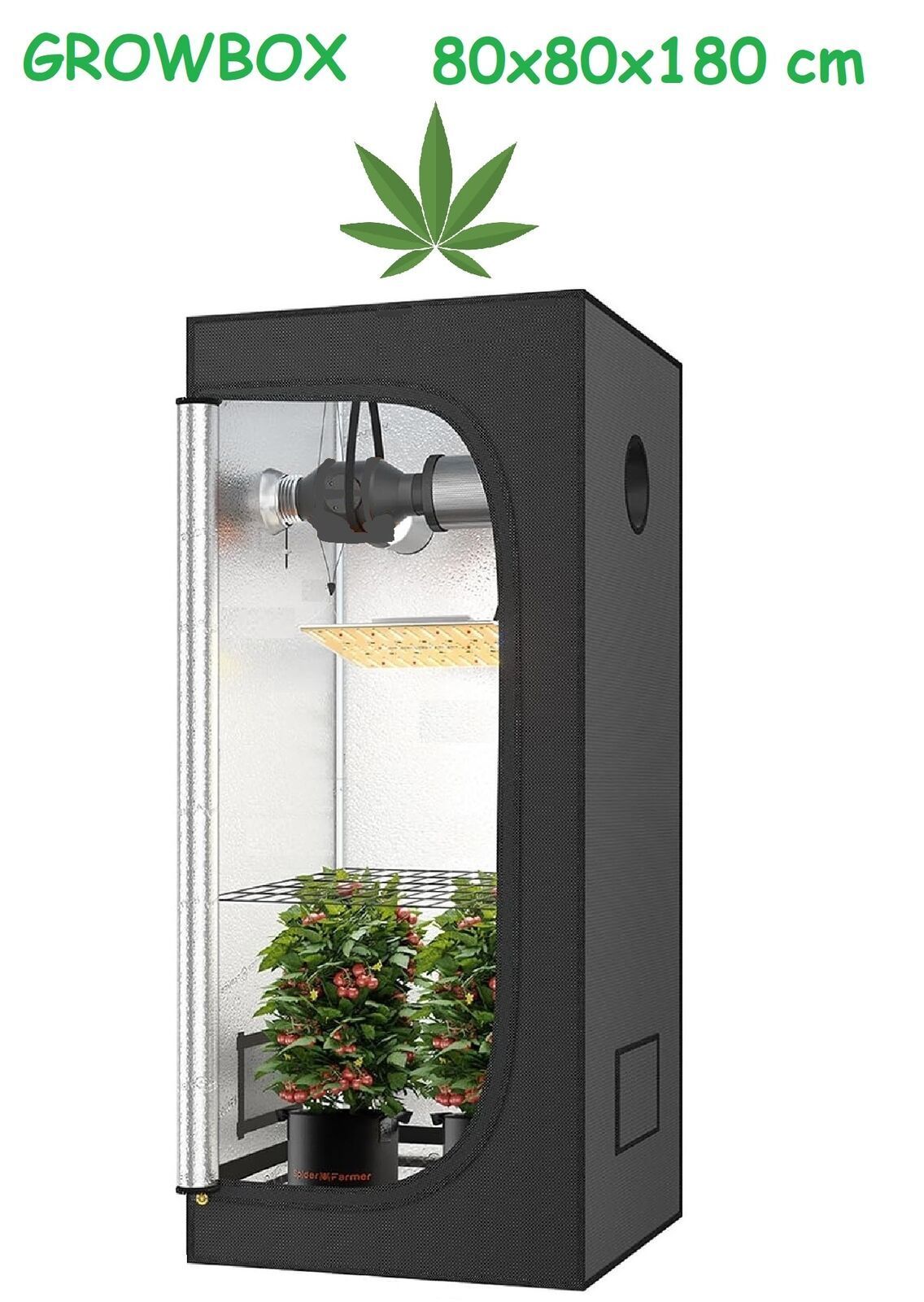 JUNG Growbox 80x80x180cm, Indoor Grow Zelt mit Reflektierender Mylar-Beschichtung, Wasserdicht, Robuste Struktur für Hydroponischen Anbau, Platzsparend & Kompakt für Cannabis und Pflanzen Anbau