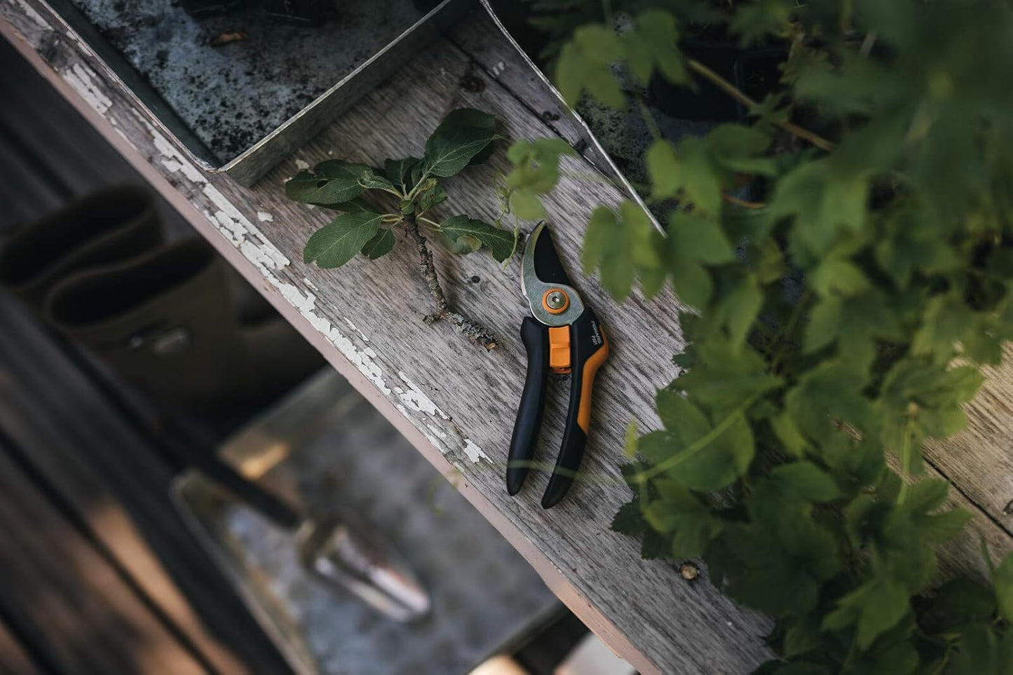 Fiskars Solid Bypass-Gartenschere P321, 20 cm, mit Antihaft-Klinge aus gehärtetem Stahl, für frische Zweige und Rosen, ergonomischer SoftGrip-Griff, Sicherheitsverschluss, Handbetrieb, 167 g