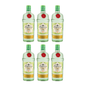 Tanqueray Rangpur 0,7l 41,3% Vol. 6er Alkohol Set – Zitrus Gin mit Rangpur-Limette – 3x 0,7l Tanqueray Gin Set – London Dry Gin mit Limetten-Aromen – Frischer Gin für Cocktails, Tonic & Longdrinks - Alcohol